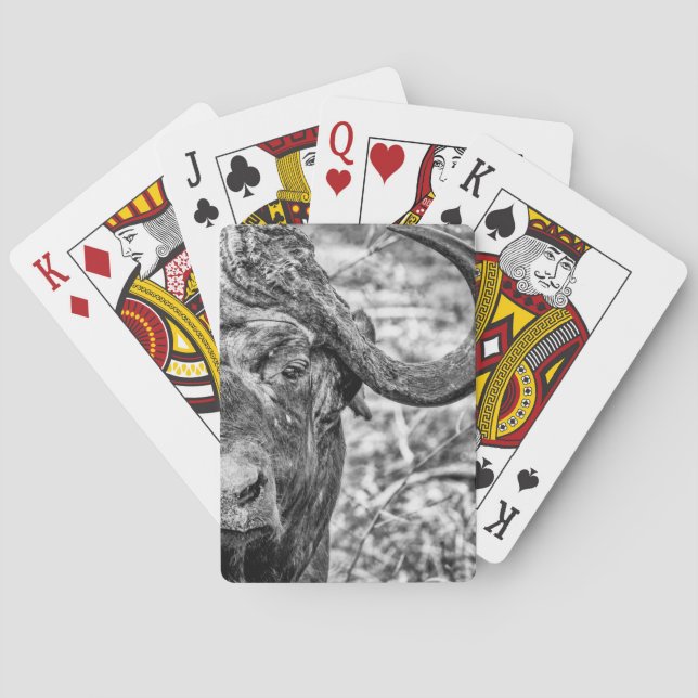 Baralho Cartões de jogo africanos do retrato do búfalo do (Verso)