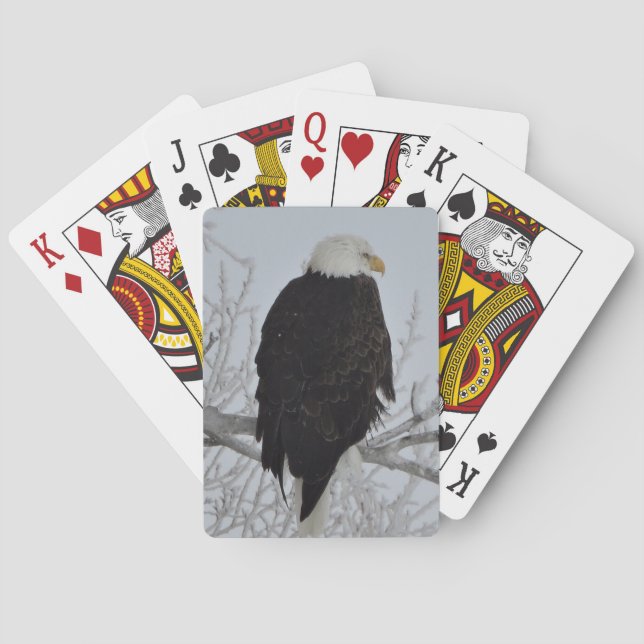Baralho Cartões de jogo americanos da águia americana (Verso)