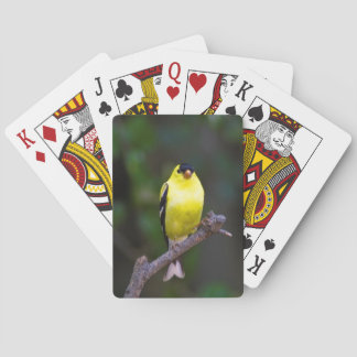 Baralho Cartões de jogo americanos do Goldfinch