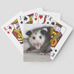 Baralho Cartões de jogo bonitos da foto do gambá do beb