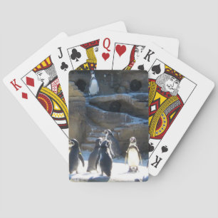 Baralho Cartões de jogo bonitos dos penquins do jardim