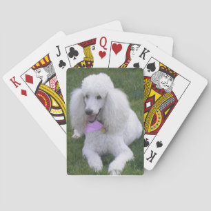 Baralho Cartões de jogo brancos da caniche padrão