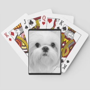 Baralho Cartões de jogo brancos de Shih Tzu