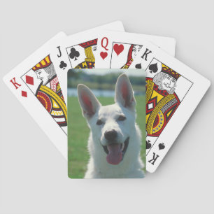 Baralho Cartões de jogo brancos do cão de german shepher