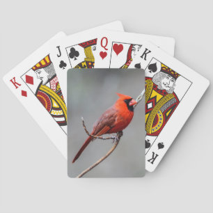 Baralho Cartões de jogo cardinais