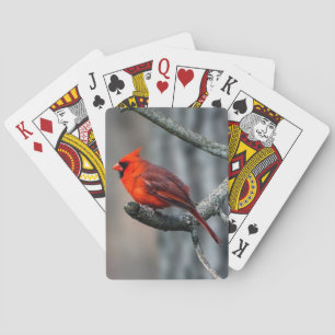 Baralho Cartões de jogo cardinais