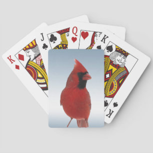 Baralho Cartões de jogo cardinais vermelhos do pássaro