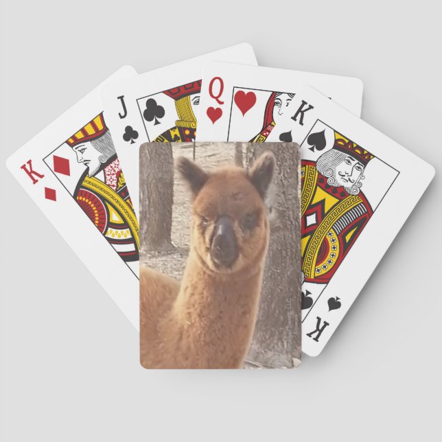 Baralho Cartões de jogo da alpaca (Verso)