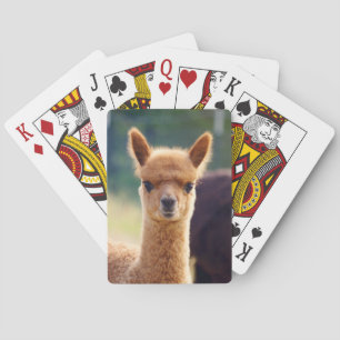 Baralho Cartões de jogo da bicicleta da alpaca do bebê
