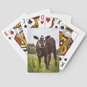 Baralho Cartões de jogo da vaca