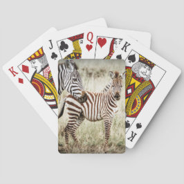 Baralho Cartões de jogo da zebra & do bebê