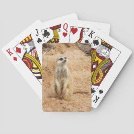 Baralho Cartões de jogo de Meerkat
