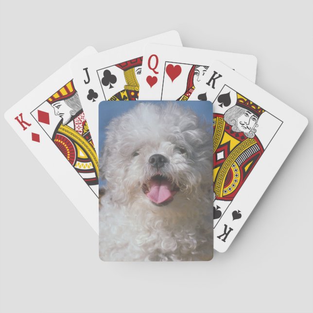 Baralho Cartões De Jogo De Poodle (Verso)