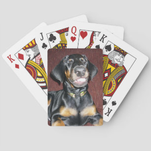 Baralho Cartões de jogo de sorriso do filhote de cachorro