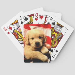 Baralho Cartões de jogo do cão de filhote de cachorro do