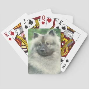 Baralho Cartões de jogo do cão do Keeshond