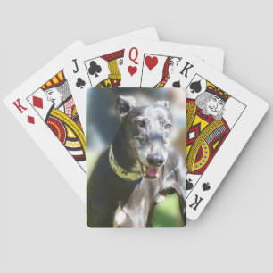 Baralho Cartões de jogo do galgo (p300)