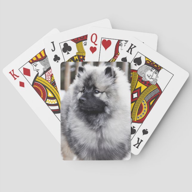 Baralho Cartões de jogo do Keeshond (Verso)