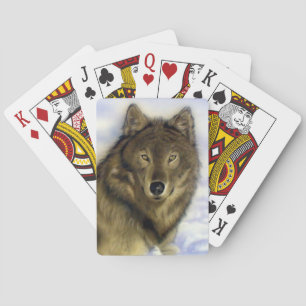 Baralho Cartões de jogo do lobo do inverno