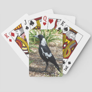 Baralho Cartões de jogo do Magpie australiano