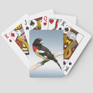 Baralho Cartões de jogo do pássaro do Grosbeak do