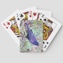 Cartões de jogo do Rook