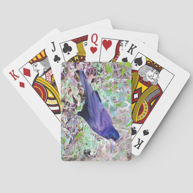 Baralho Cartões de jogo do Rook (Verso)