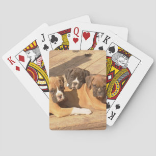 Baralho Cartões de jogo dos cães do pugilista