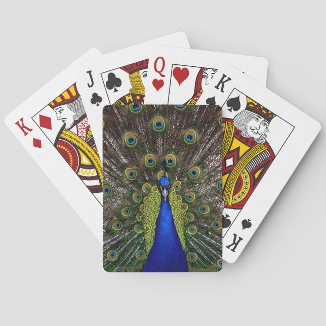 Baralho Cartões de jogo "Peacock" (Verso)
