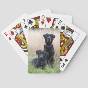Baralho Cartões de jogo pretos de Labrador