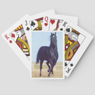 Baralho Cartões de jogo Running pretos do cavalo