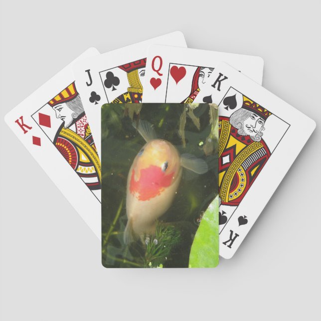 Baralho Cartões de Orelha (Verso)