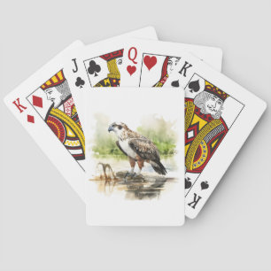 Baralho Cartões De Osprey