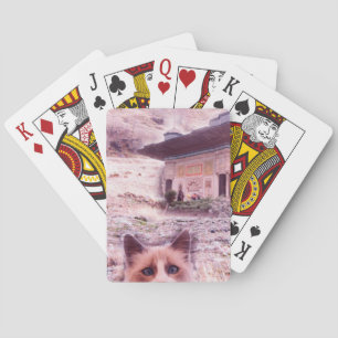 Baralho Cartões de Reprodução Clássicos do Cat Stare