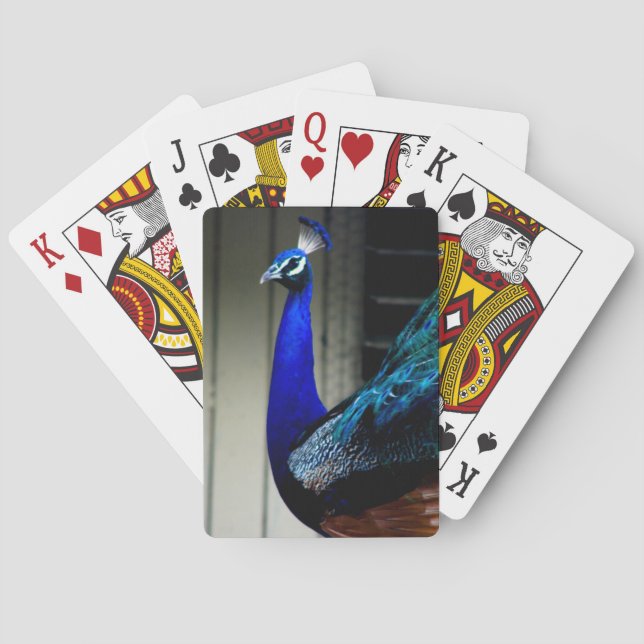 Baralho Cartões de Reprodução Clássicos Peacock (Verso)