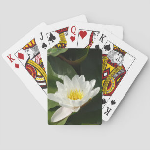 Baralho Cartões de Reprodução de Fotografia do Lotus Água