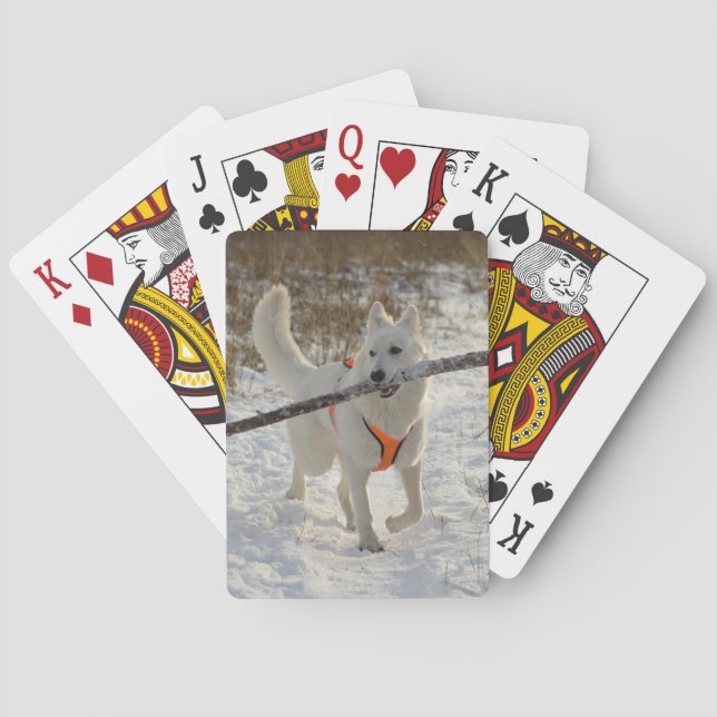 Baralho Cartões de Reprodução de Fotos Pet Personalizados (Verso)