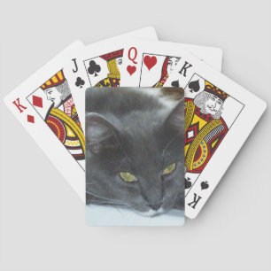Baralho Cartões De Reprodução De Gatos-De-Meia 8