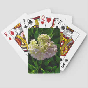 Baralho Cartões De Reprodução De Hydrangea