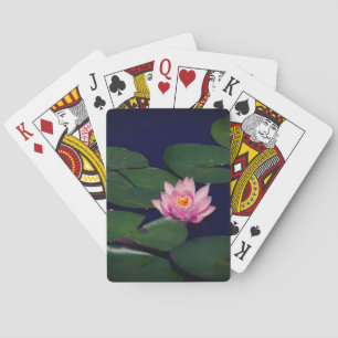 Baralho Cartões de Reprodução de Lotus Waterlily Rosa