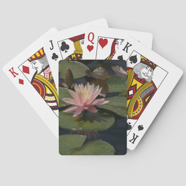 Baralho Cartões de Reprodução de Lotus Waterlily Rosa (Verso)