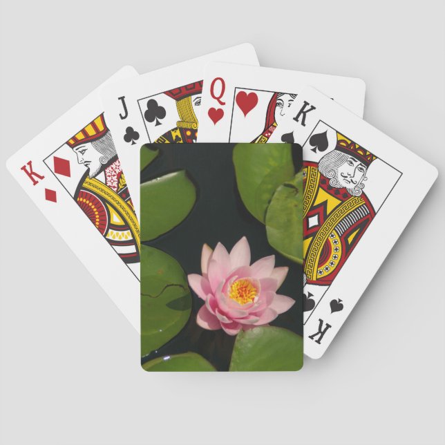 Baralho Cartões de Reprodução de Lotus Waterlily Rosa (Verso)