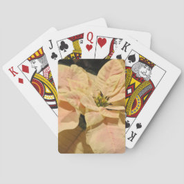 Baralho Cartões de Reprodução de Natal de Poinsettia Rosa