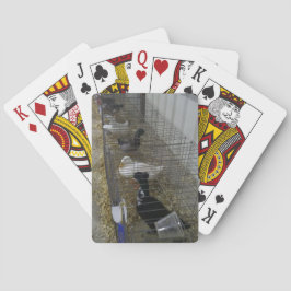 Baralho Cartões de Reprodução de Pato