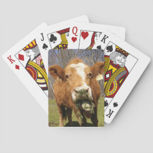 Baralho Cartões de Reprodução de Vaca