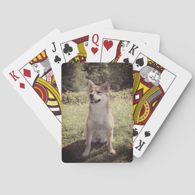 Baralho Cartões de Reprodução Personalizados de Foto (Verso)