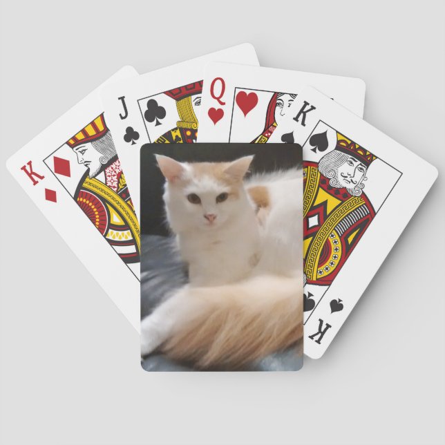 Baralho Cartões de Snowdrop (Verso)