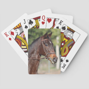 Baralho Cartões do cavalo