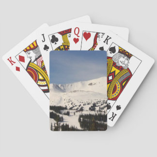 Baralho Cartões legal