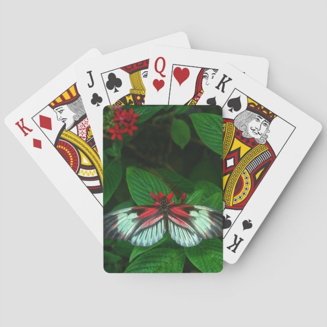 Baralho cartões postais (Verso)